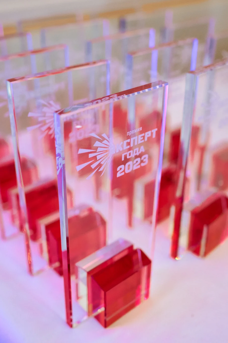 Нижегородцев приглашают принять участие во Всероссийской премии «Эксперт года»